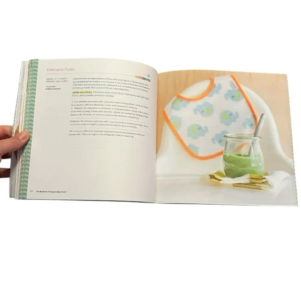 The Big Book of Organic‎ Baby Food